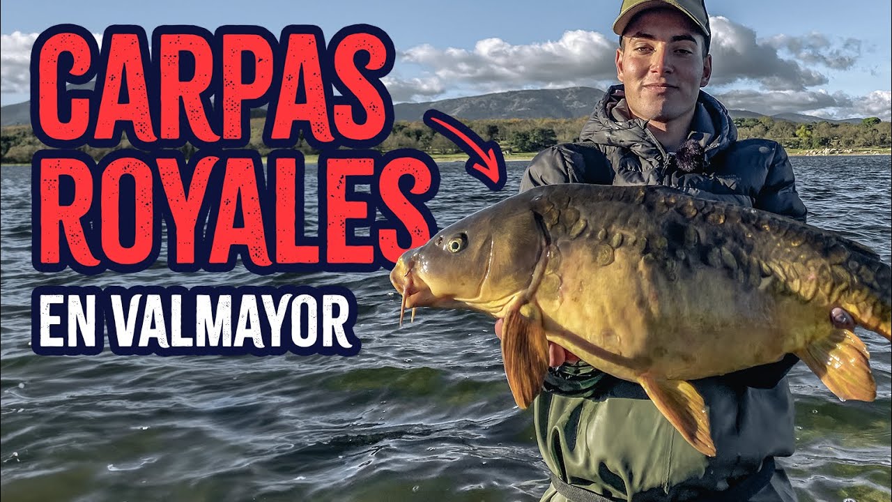 🔥 EXPLORANDO VALMAYOR EN BUSCA DE CARPAS ROYALES 🔥