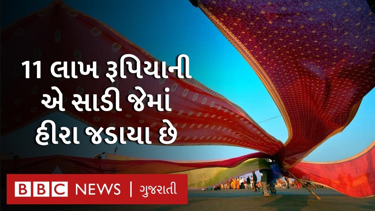 The workmanship of this 11 lakh sari is mind-blowing | Paithani Saree