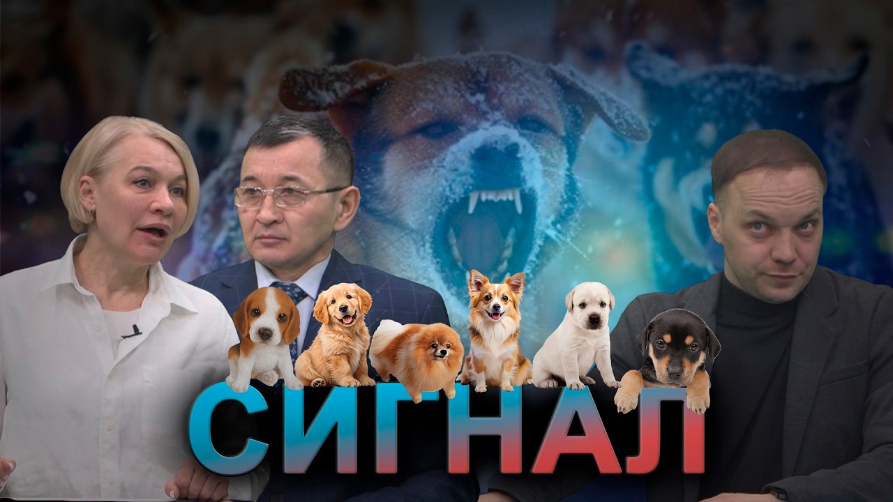 Сигнал. Стерилизованные собаки продолжают рожать в Павлодарской области. 27.02.2026