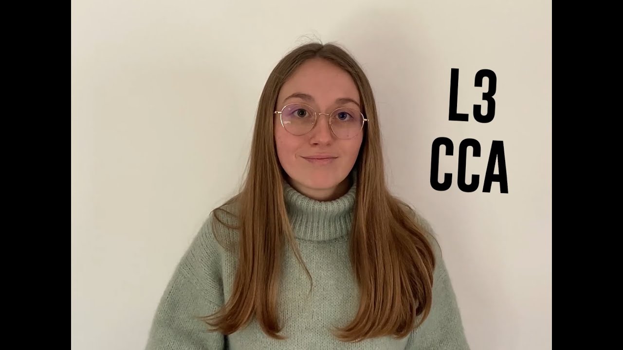 L3 Comptabilité-Contrôle-Audit