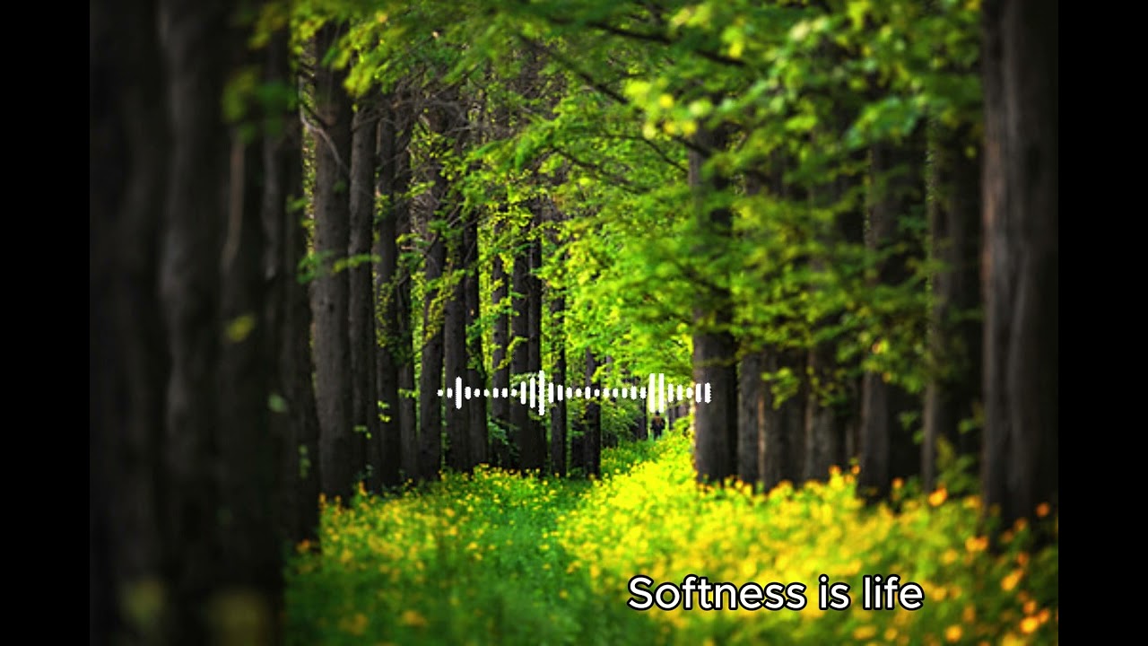 [NADA Music] The wisdom of Lao Tzu, Living by bending, chapter 76 #taoteching