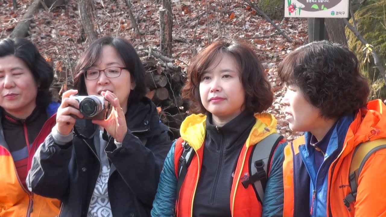 2015 봉일오비 관악산 무장애 숲길 나들이