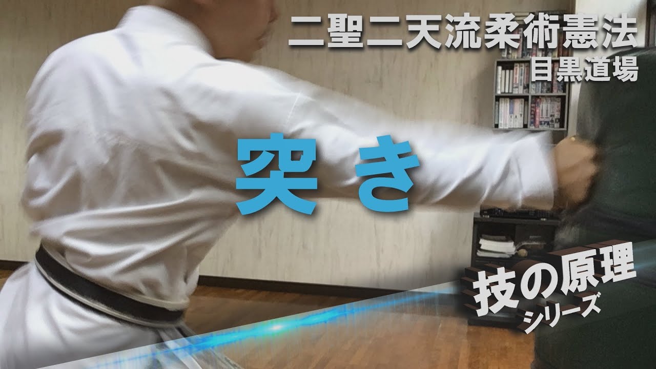 技の原理 - 突き（STRAIGHT PUNCH - PRINCIPLE OF TECHNIC）【二聖二天流柔術憲法 NISHO-NITEN RYU JUJUTSU KEMPO】