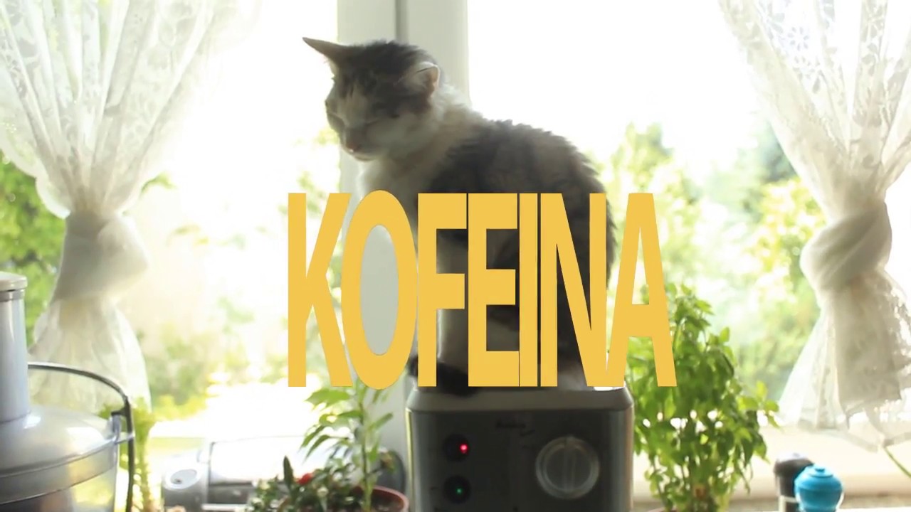 EAZY DYONIZY -  KOFEINA (prod. ///YU)