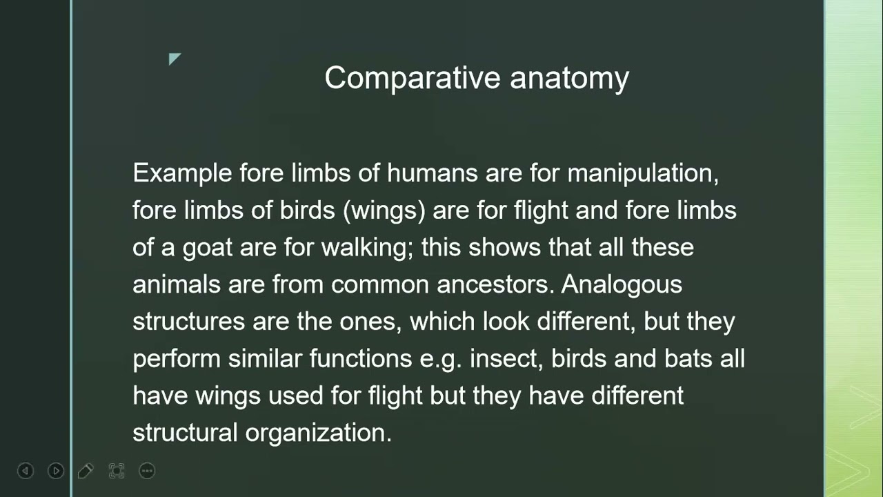 Evidences & The Application Of Organic Evolution In Real Life Situation
