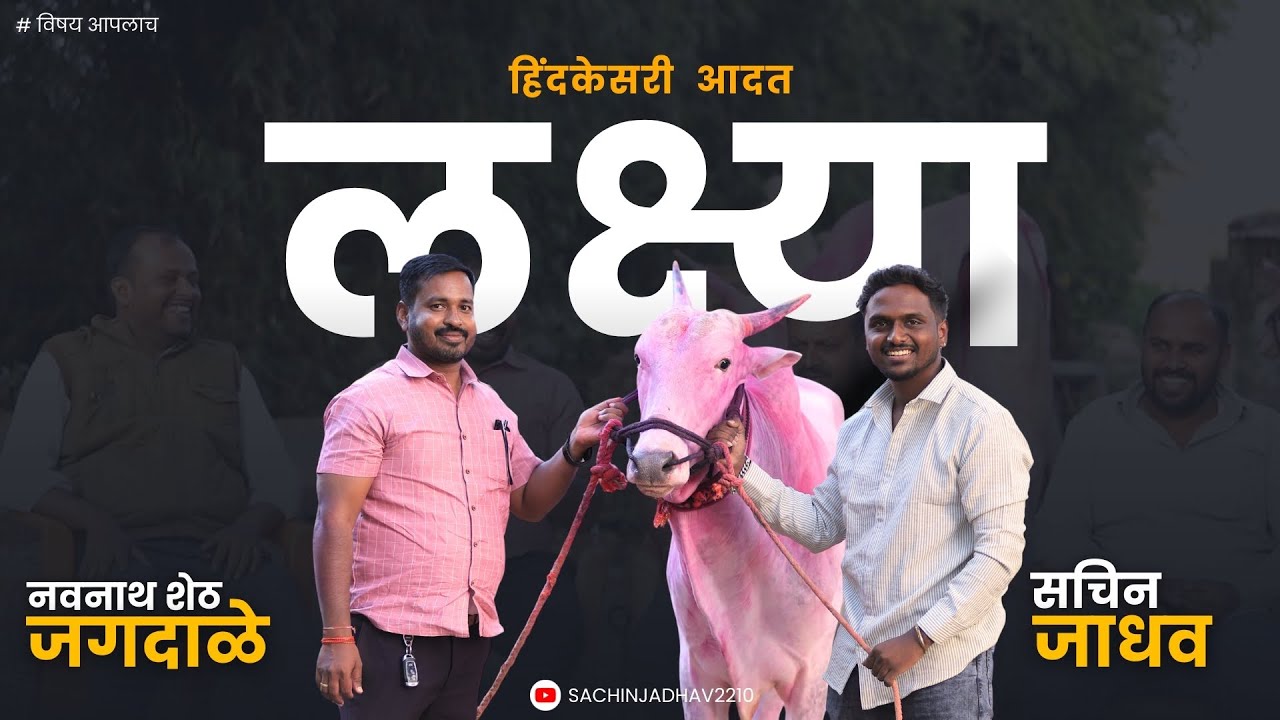 हिंदकेसरी आदत लक्ष्या वडकी मैदानातला लक्षवेधक