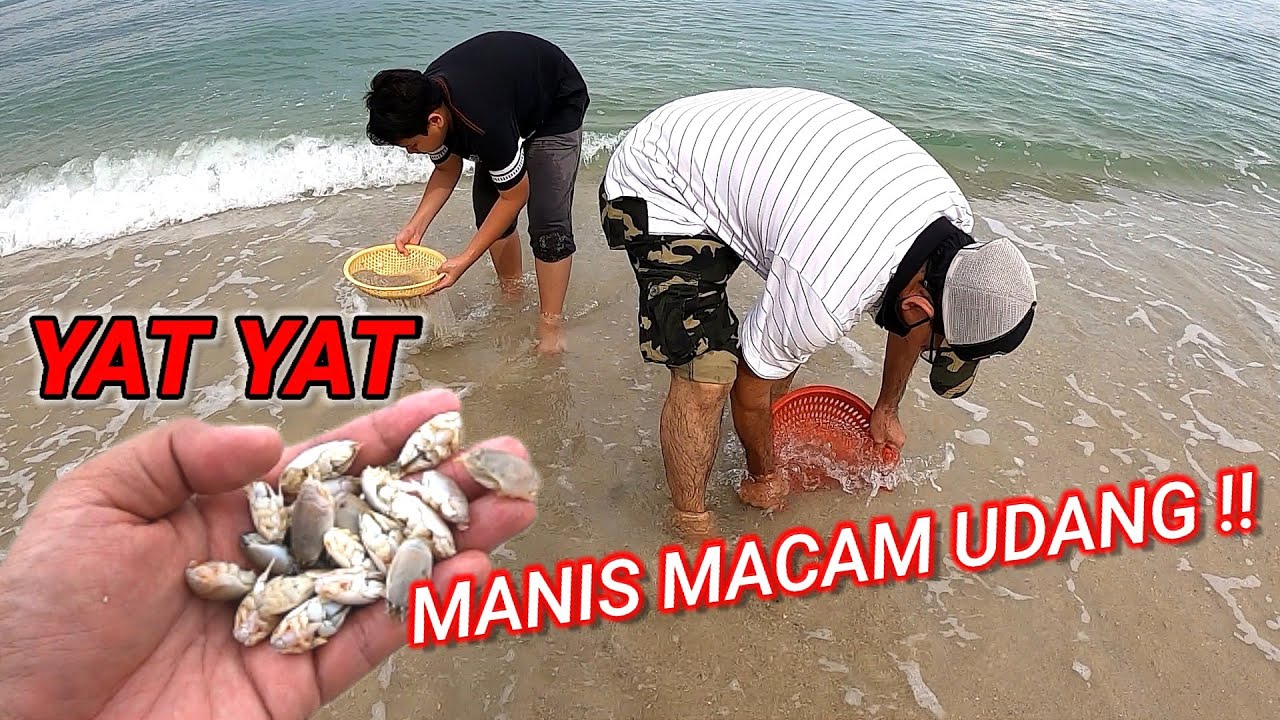 Kutip Yat Yat@ Kutu Air (Undur-Undur Laut) Pantai Segari, Perak | Catch & Cook | Vlog37