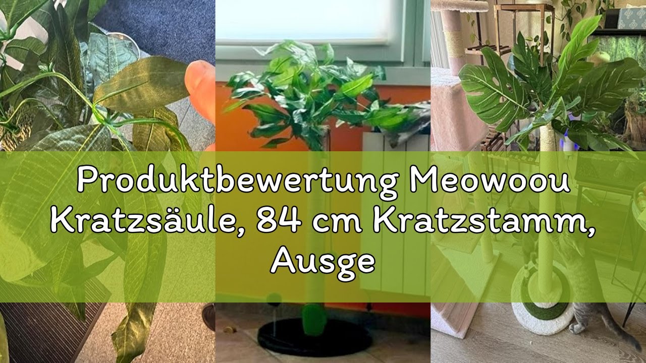 Produktbewertung Meowoou Kratzsäule, 84 cm Kratzstamm, Ausgewachsene Katzen und Kätzchen, Hoher Krat