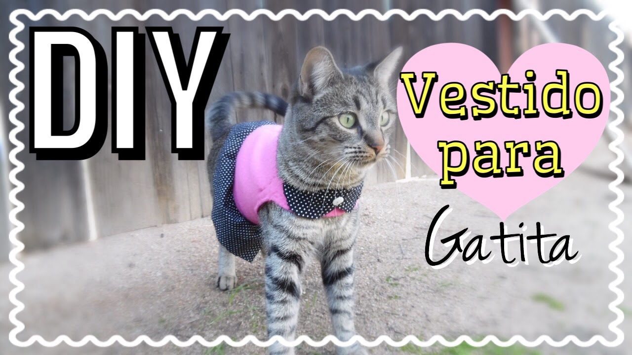 DIY COMo Hacer un Vestido Para Gatita