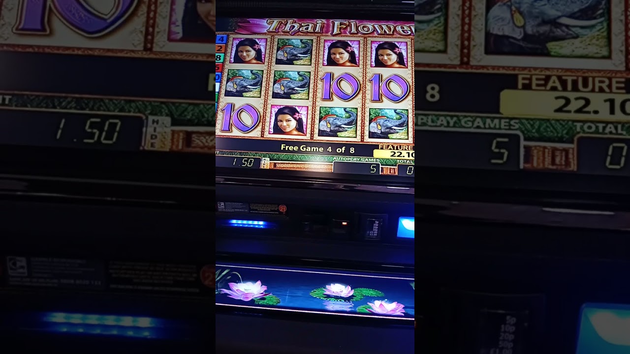 Thai flower mecca bingo Nottingham #slotlife