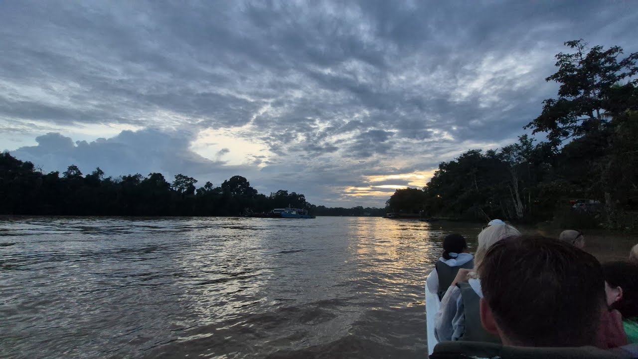 Plavba po rieke Kinabatangan 3. Borneo, Malaysia