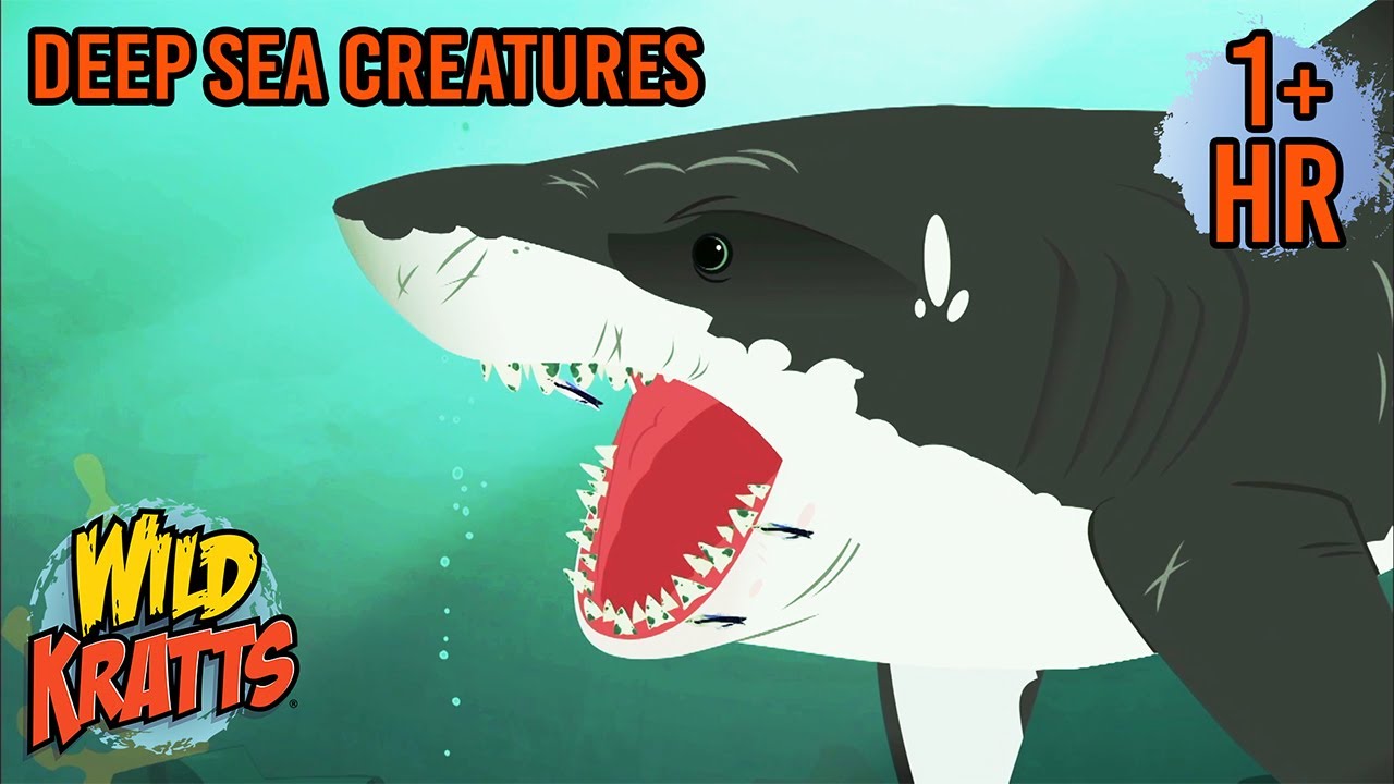 Underwater Adventures 🌊 | Sharks, Fish, and Frogs | Adventures with the Kratts | Scholastic Kids