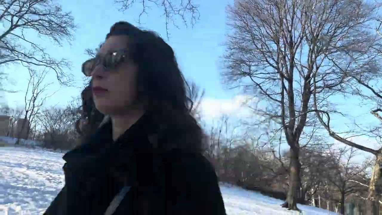 ❄️Snow in Central Park February 15, 2026