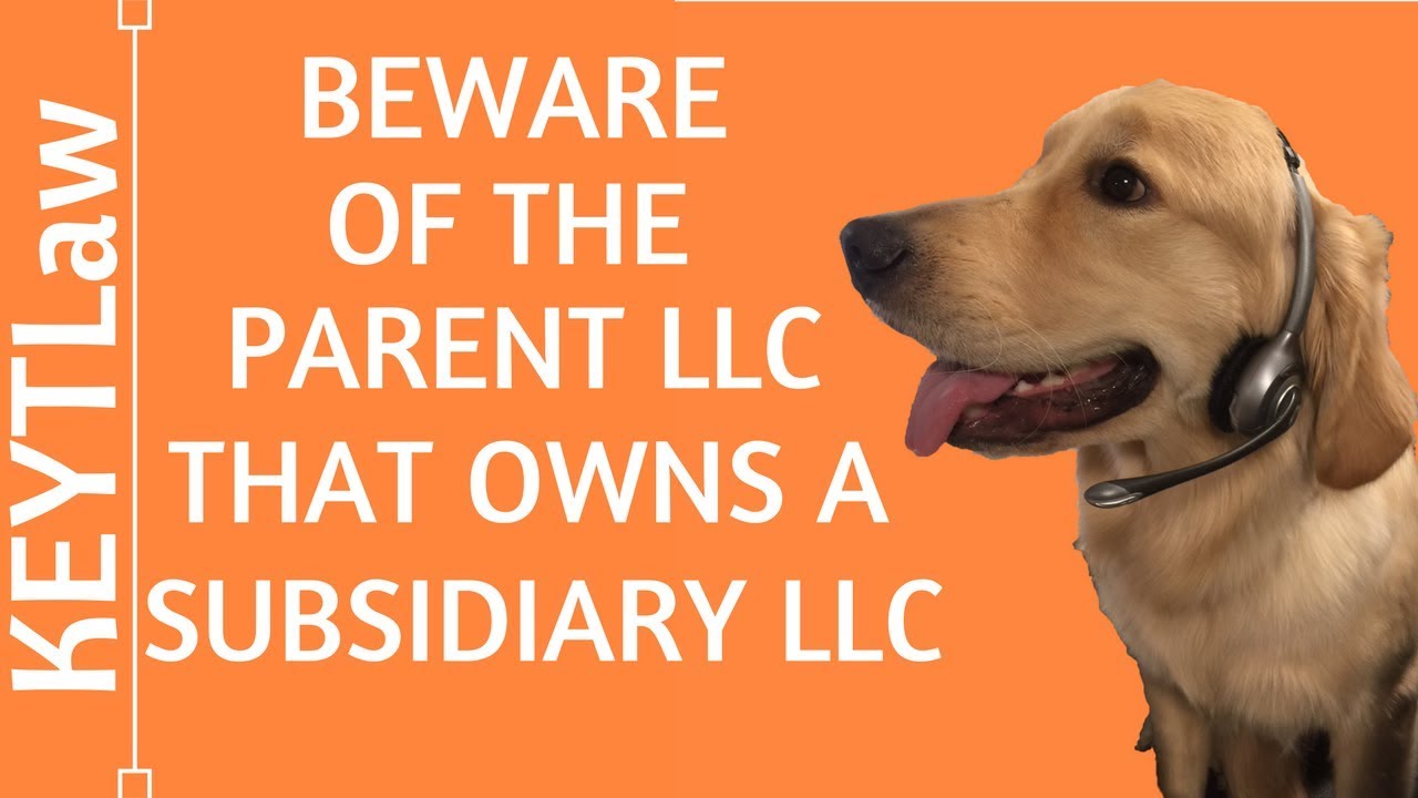 Beware of the Parent LLC that Owns a Subsidiary LLC (2024)