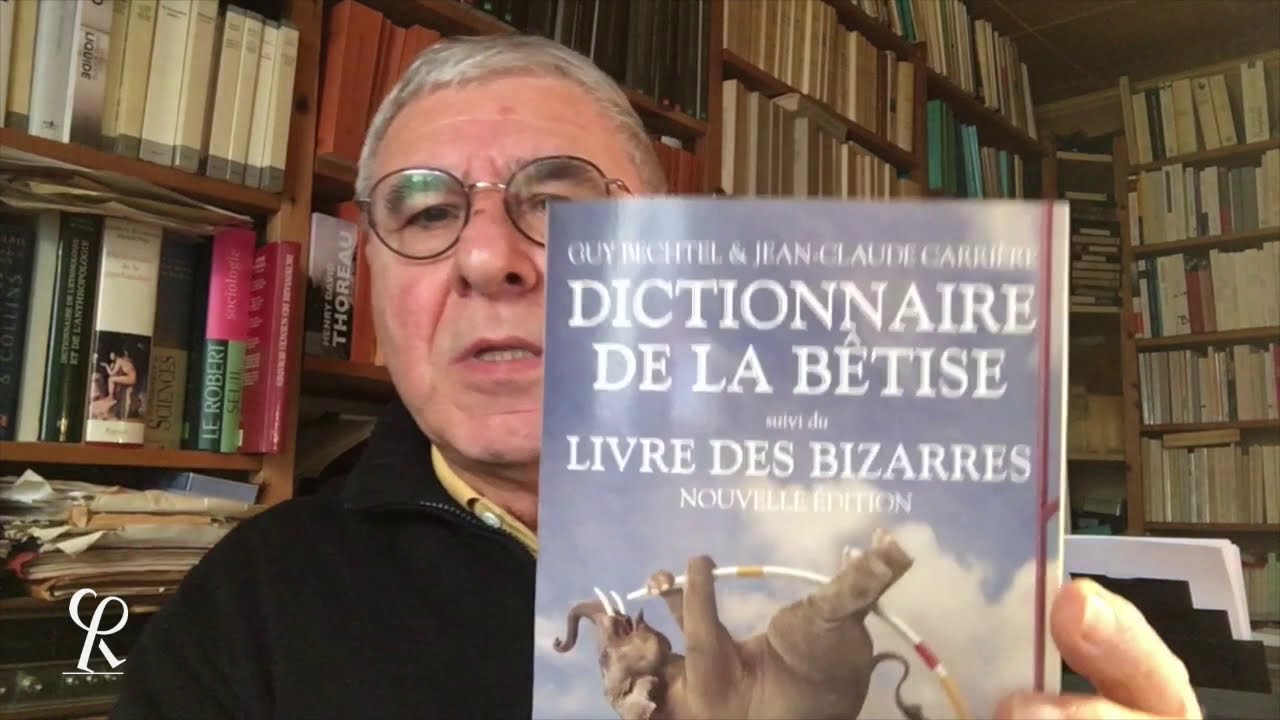 #Lectures Dictionnaire de la bêtise suivi du livre des bizarres