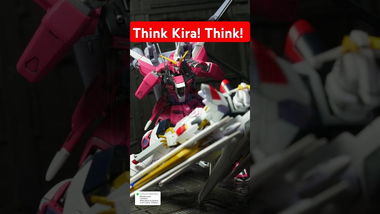 Gundam Seed Freedom Meme 
