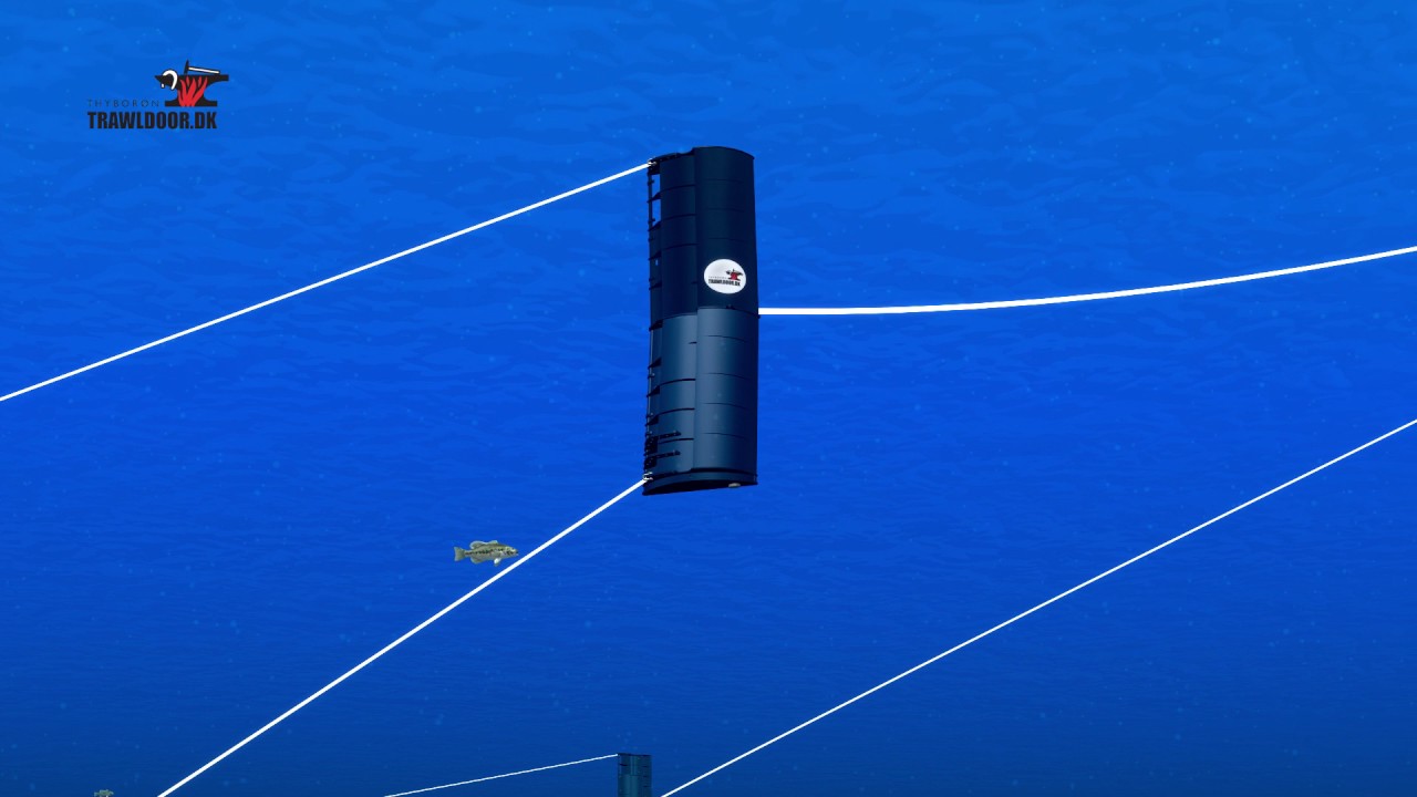 Thyborøn Underwater video