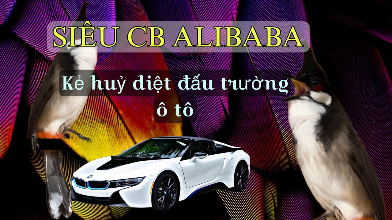 HỒ SƠ CHIẾN BINH-ALIBABA