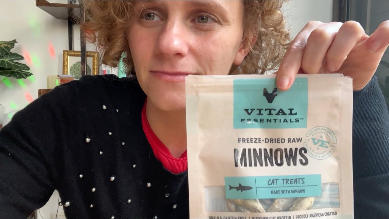 Are Freeze-Dried Minnows Fish Treats the Ultimate Cat Snack?