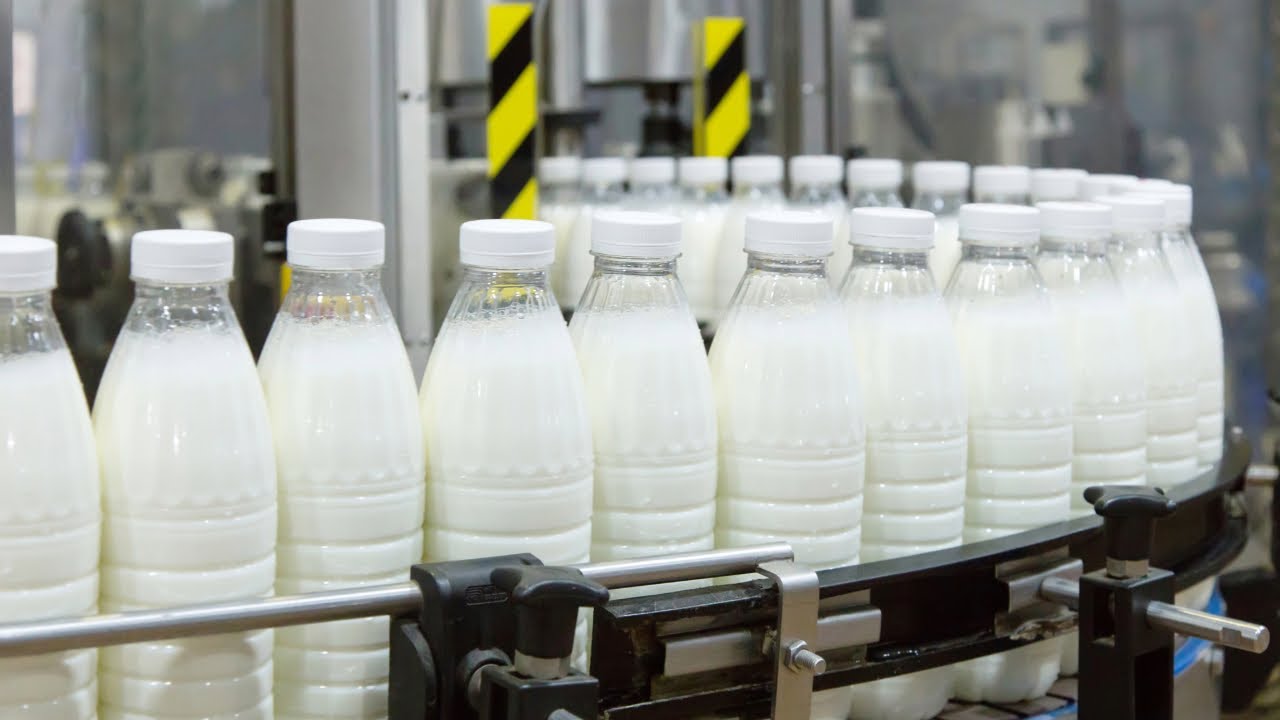 How Milk Is Made