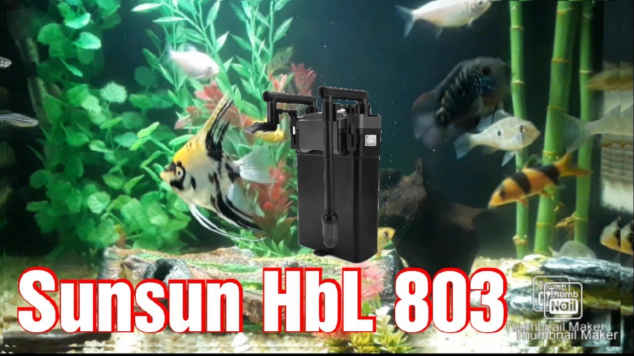 Mini Canister Sunsun HBL 803 | 2 meses de uso @aquahometv5658