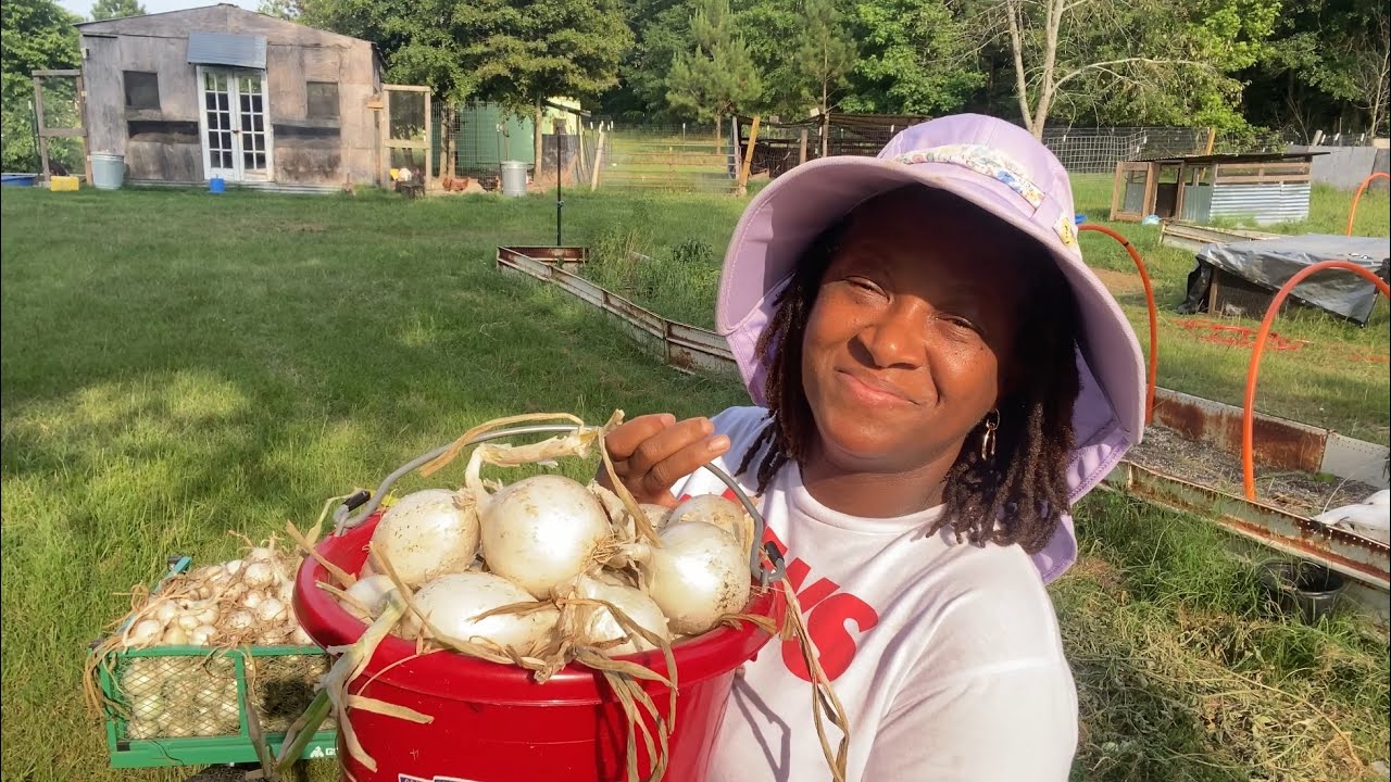 I'm Loving This Harvest ~ Grow Your Groceries 2024!