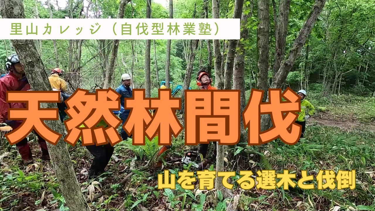 自伐型林業塾（天然林間伐）