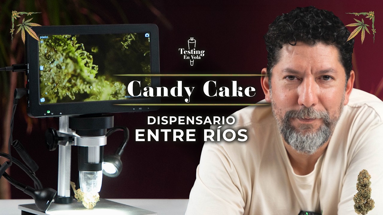 PROBANDO CANDY CAKE STRAIN