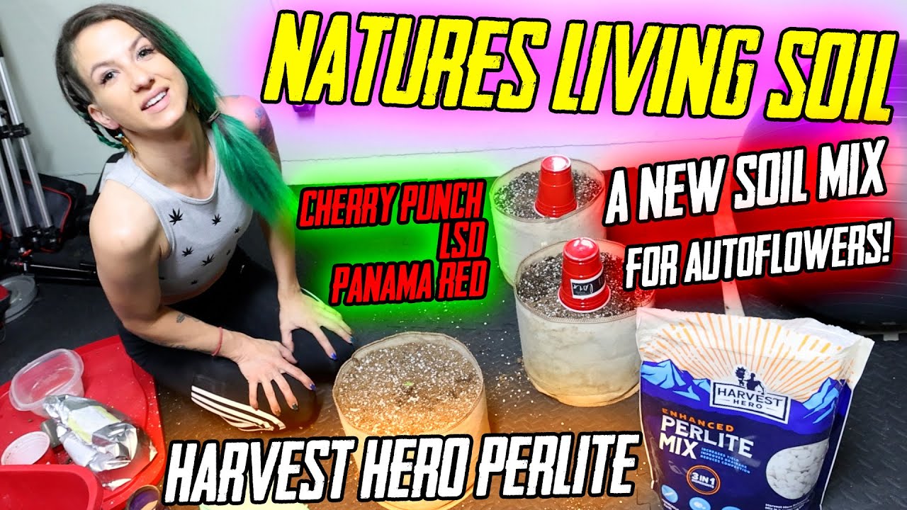 4x4 Grow with Nature's Living Soil & Harvest Hero Enhanced Perlite Mix!