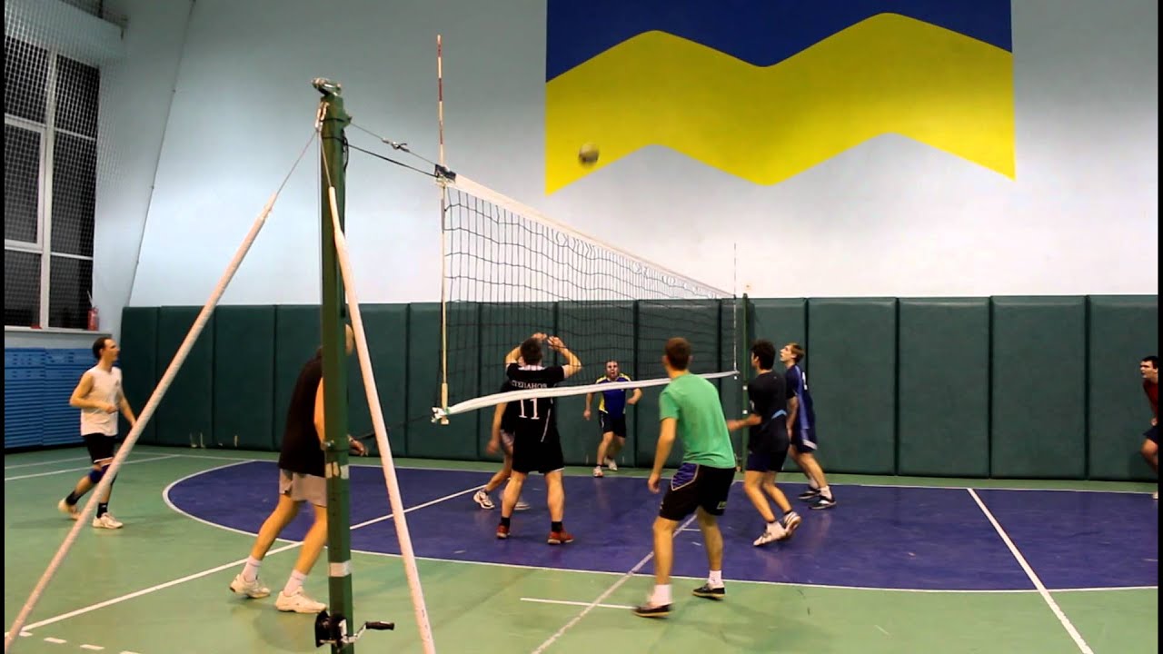 Шева - Авиас  5