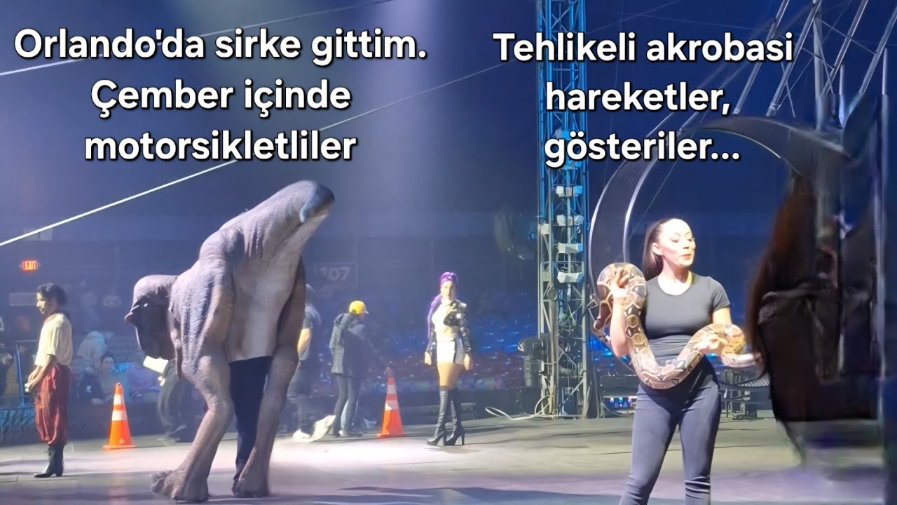 Amerika'nın ünlü sirkine gittiniz mi? #heyecan #akrobasi #keşfet #keşfetteyiz #gardenbroscırcus  