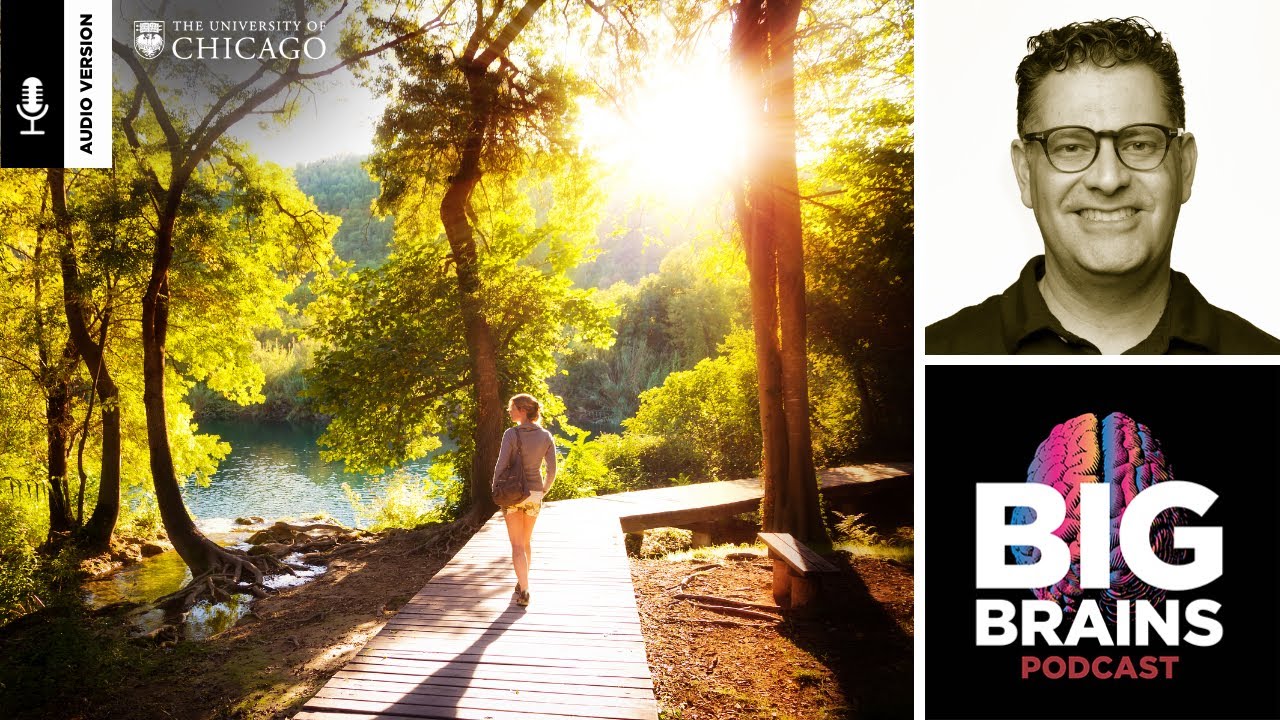 How To Use Nature To Restore Your Focus, with Marc Berman