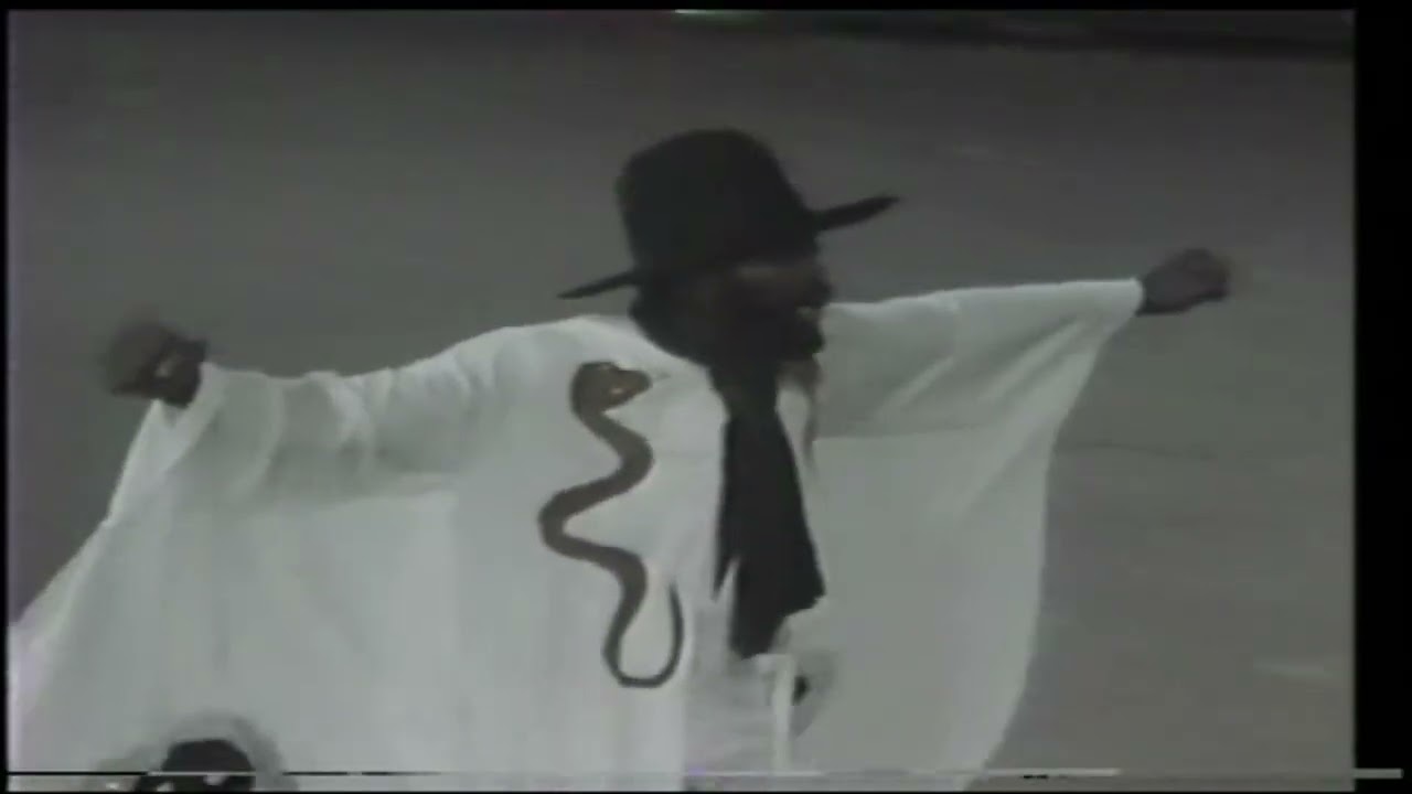 MIGHTY SHADOW ~ DISCO DONKEY { TRINIDAD AND TOBAGO } 🇹🇹 