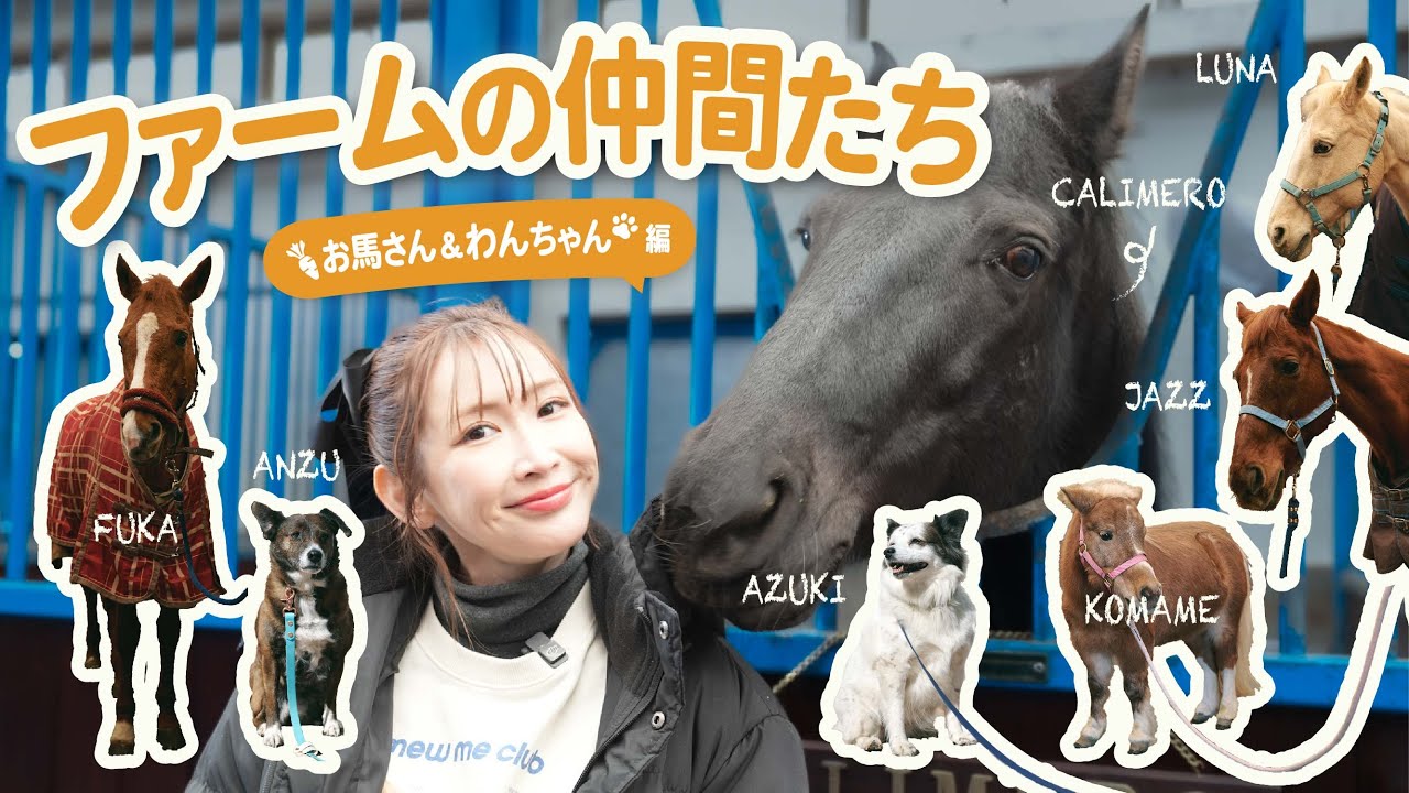 【仲間紹介】みんなの推しを見つけてみてね🐶🐴