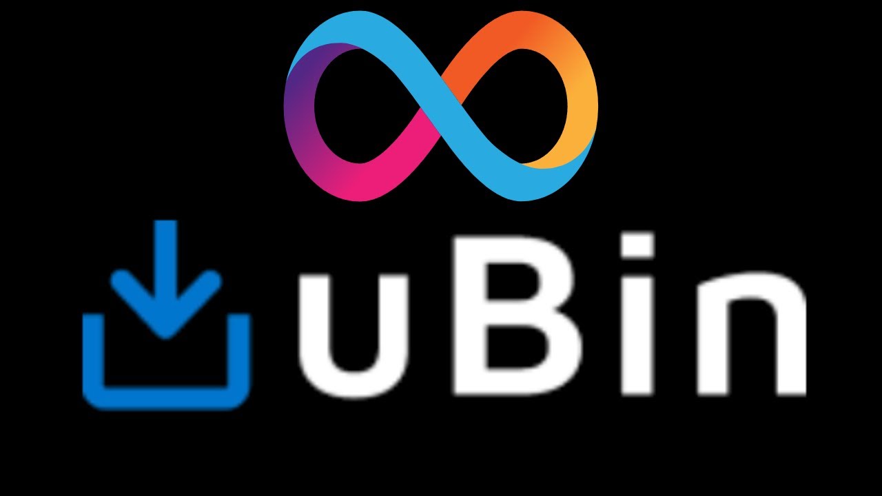 100% Onchain Storage 🔒 ($ICP): uBin