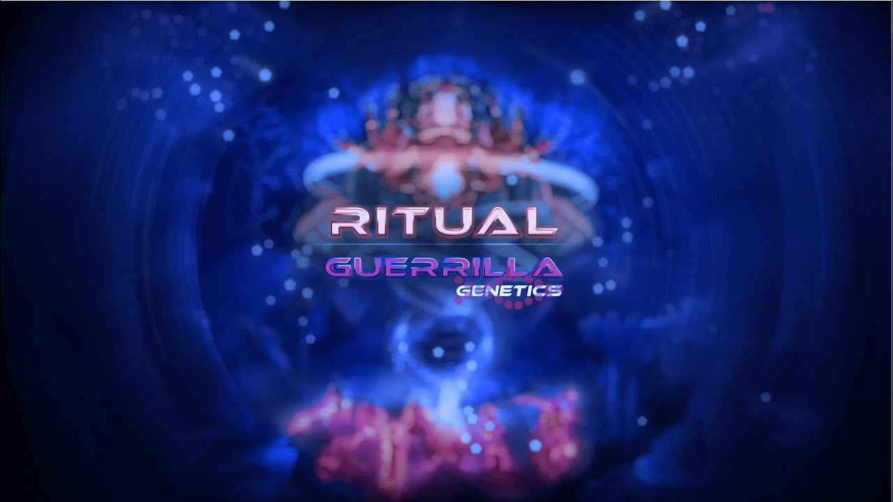 Guerrilla - Ritual