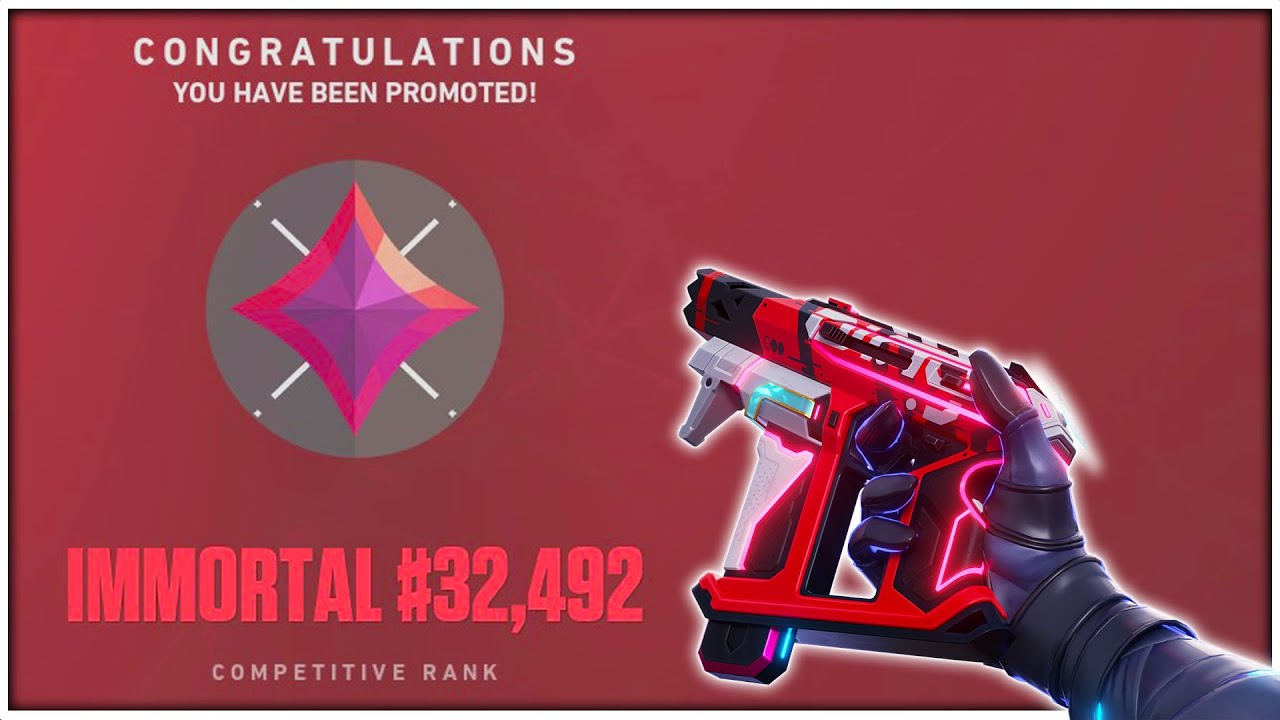 I Climbed to Immortal using a Frenzy only...