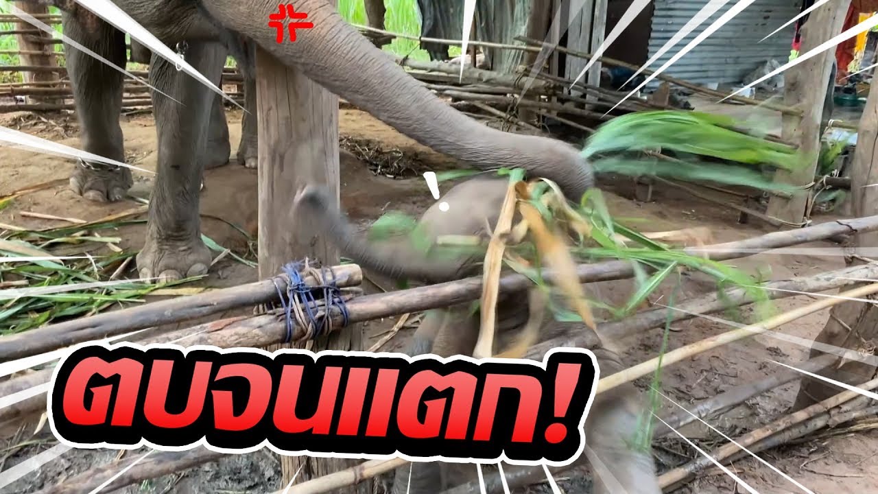 นาทีระทึก!! แม่ตีลูกจนอ่วม!! ถามว่าลูกเข็ดไหม?....หึ!!