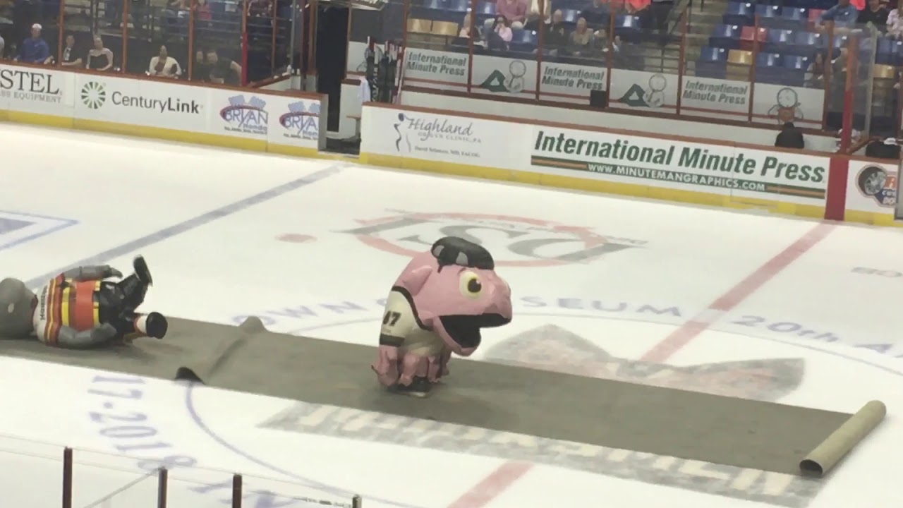 Zooperstars at Fayetteville Marksmen hockey game