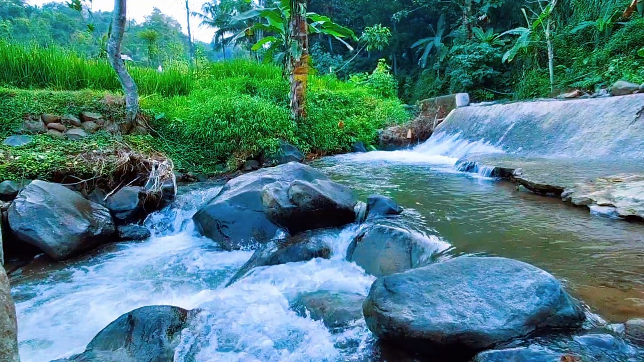 Gentle River Flow for Mental Calm