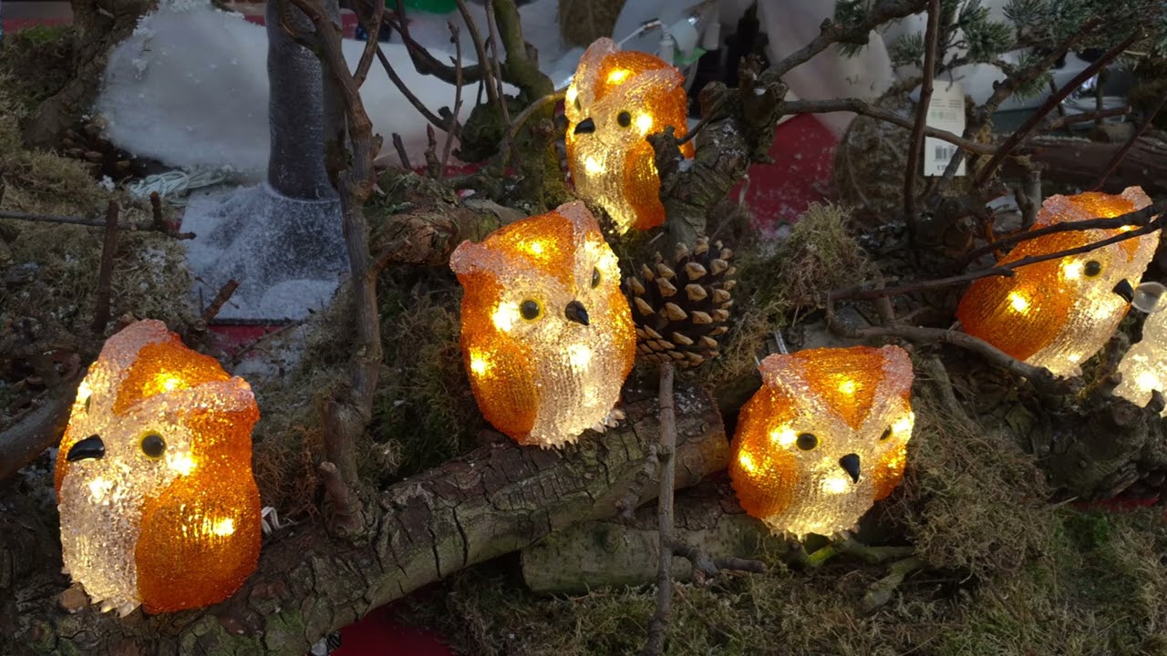 Kerstshowroom intratuin breda 
