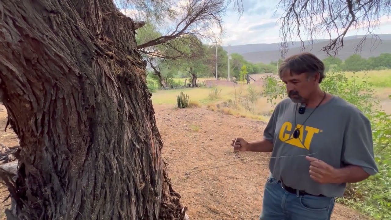 La radiestesia No cualquiera la maneja  AVENTURAS CON DON LUIS (episodio 23)