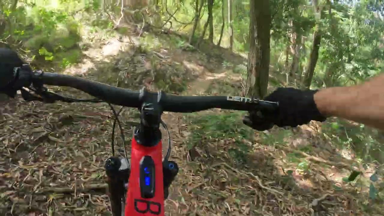 Wollongong mtb trails, Cabin fever, so much fun 😁 