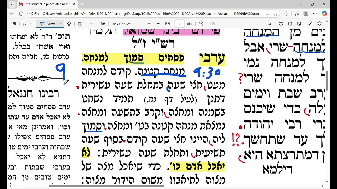 Video 2 - pesachim 99b Last Rashi and all Rashbam's on mishna