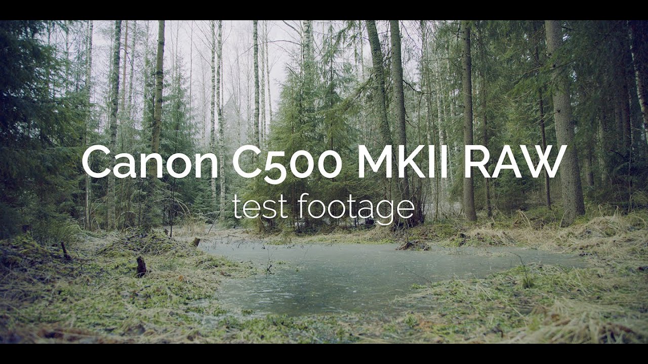 Canon C500 Mark II RAW test with color grading comparison