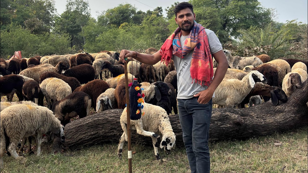 काकाजी से मुलाक़ात 🙏