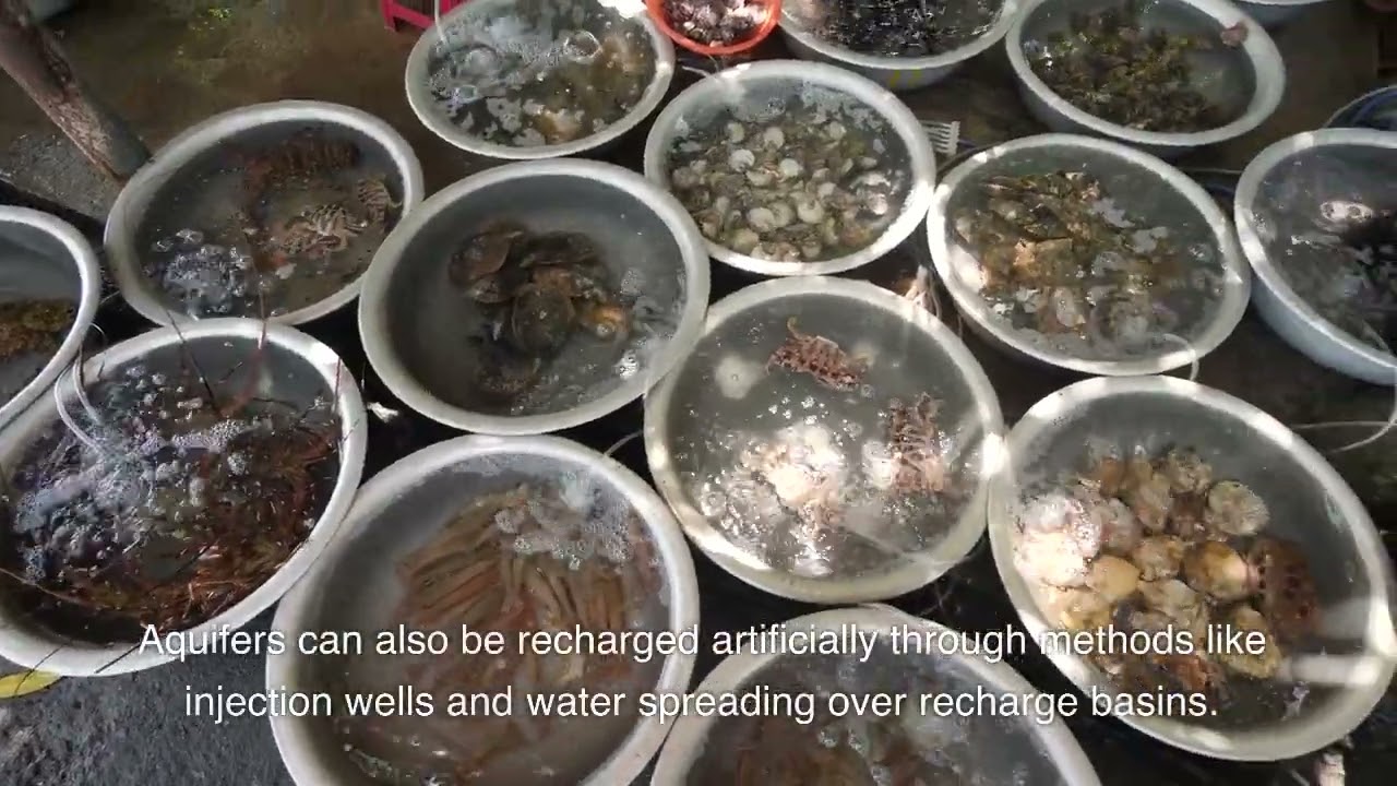 Exploring Aquifers: The Hidden Water Source