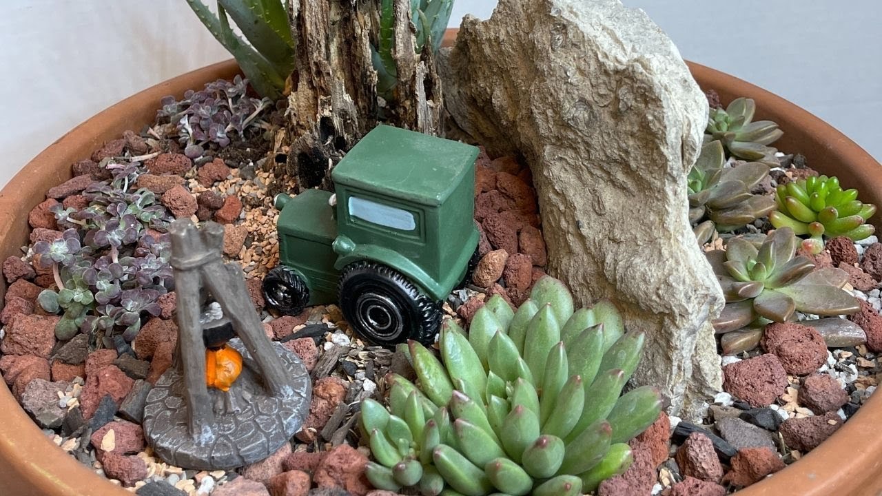 ARREGLO DE SUCULENTAS CON PIEDRA Y TRONCO VIEJO🌵 + probando pinzas nuevas - SUCCULENT ARRANGEMENT
