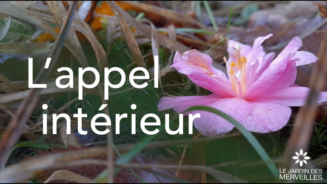 L'appel intérieur