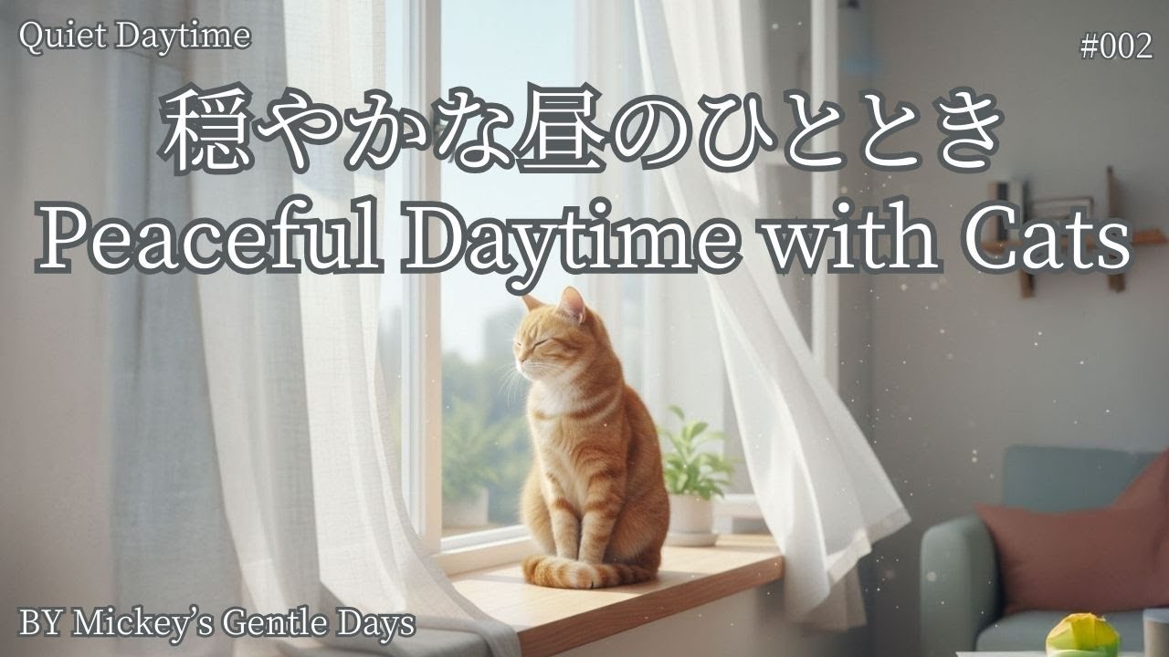 【日中】猫と穏やかに過ごすBGM｜Quiet Daytime #002 | Calm Ambient Music for Cats & Peaceful Daytime